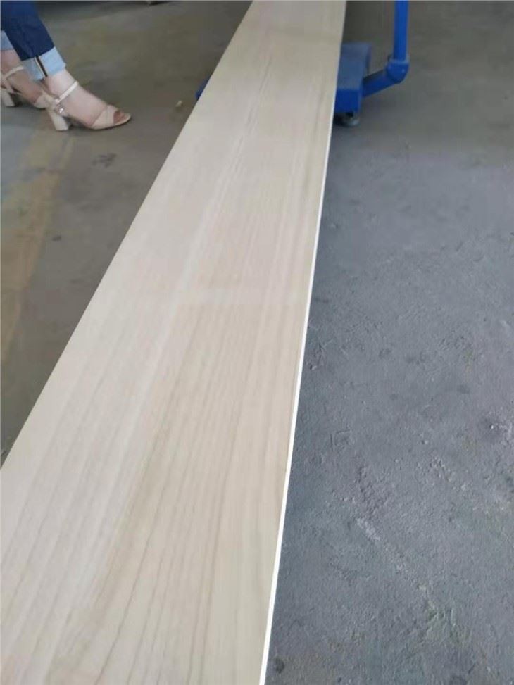 Paulownia Puzzle